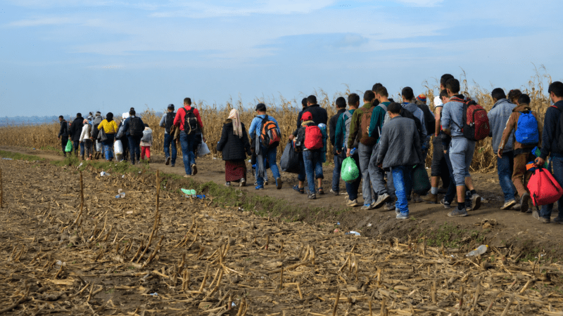 Le biais algorithmique et ses effets sur les minorités et les migrants en Europe